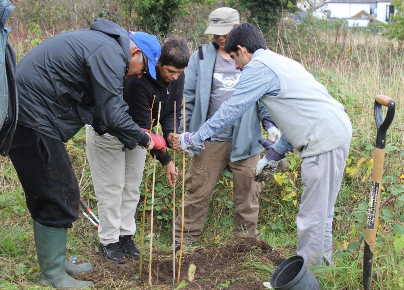 Wolf Fields Community Greenspace