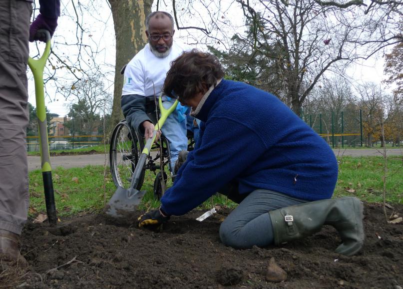 Southall Orchard Project: Southall Park – Final Phase