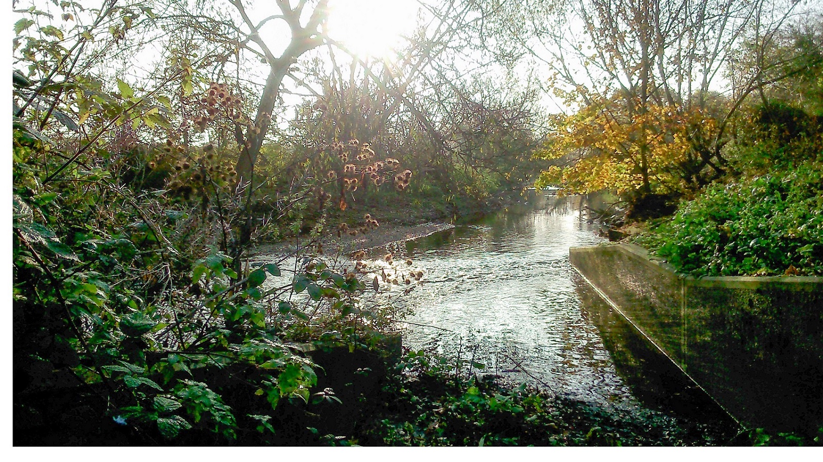 Brent Riverside Clean-up