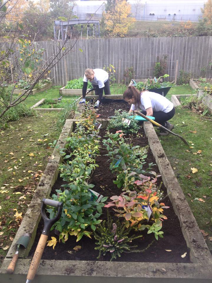 Learn, Grow, Share - Westcott Park Gardening Sessions