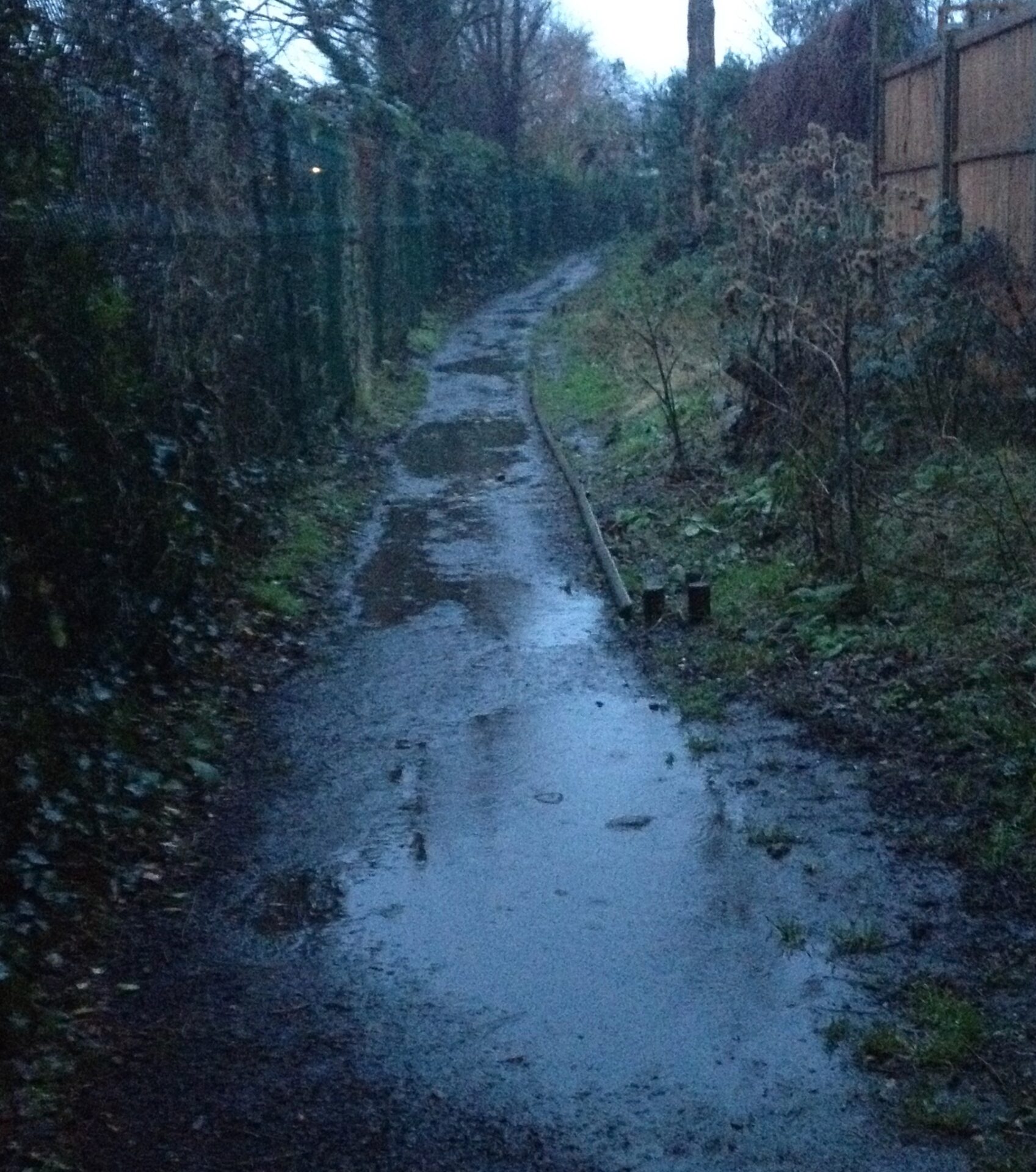 Radbourne Walk after rain