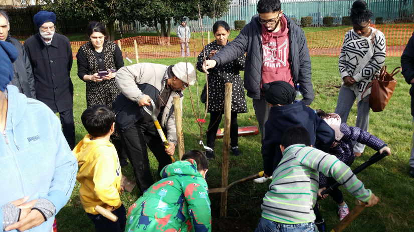 Southall Orchard Project