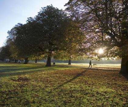 Hanwell Community Orchard Trail – tree planting month with Cultivate London