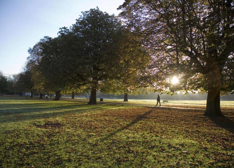 Hanwell Community Orchard Trail – tree planting month with Cultivate London