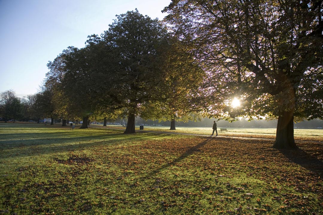 Take care of Horsenden Hill