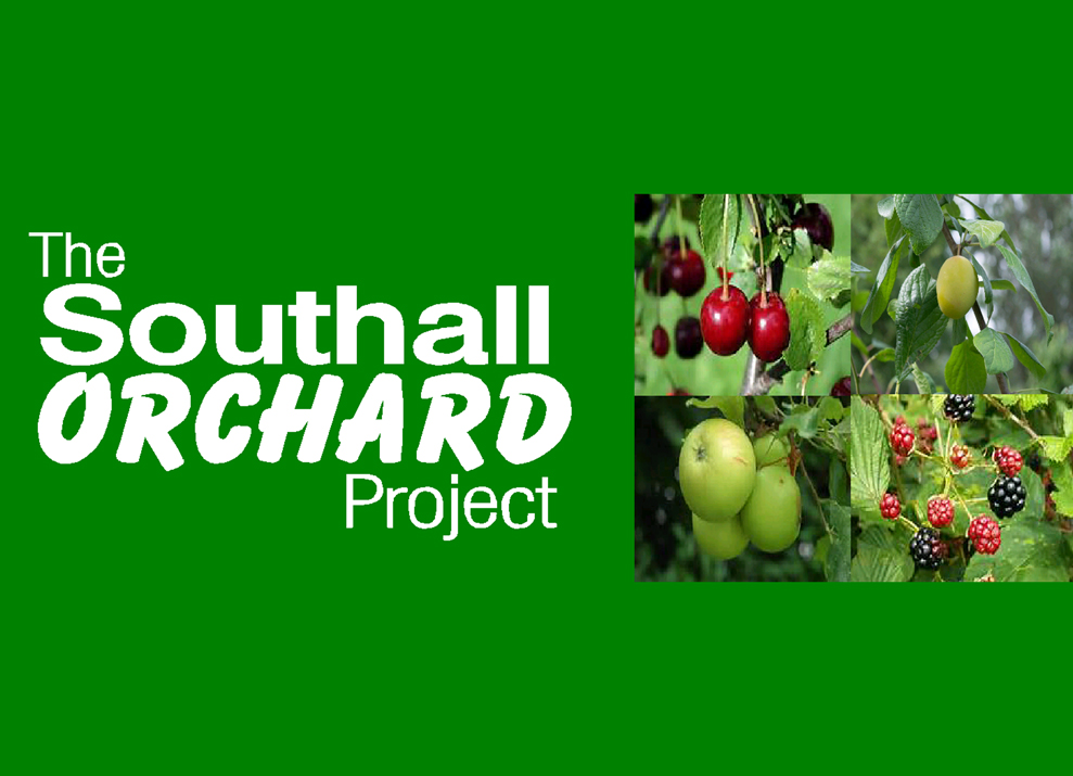 Southall Orchard Project - Phase 1a