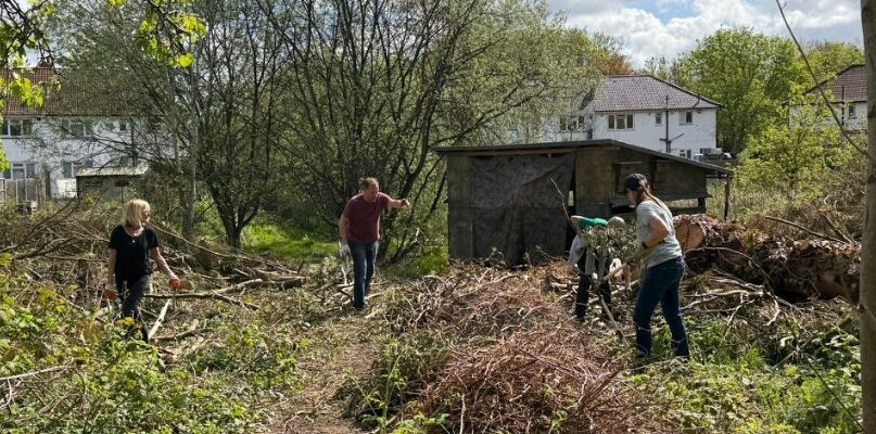 A new chapter for Costons Lane Nature Reserve & Ealing Wildlife Group-Your Voice Your Town
