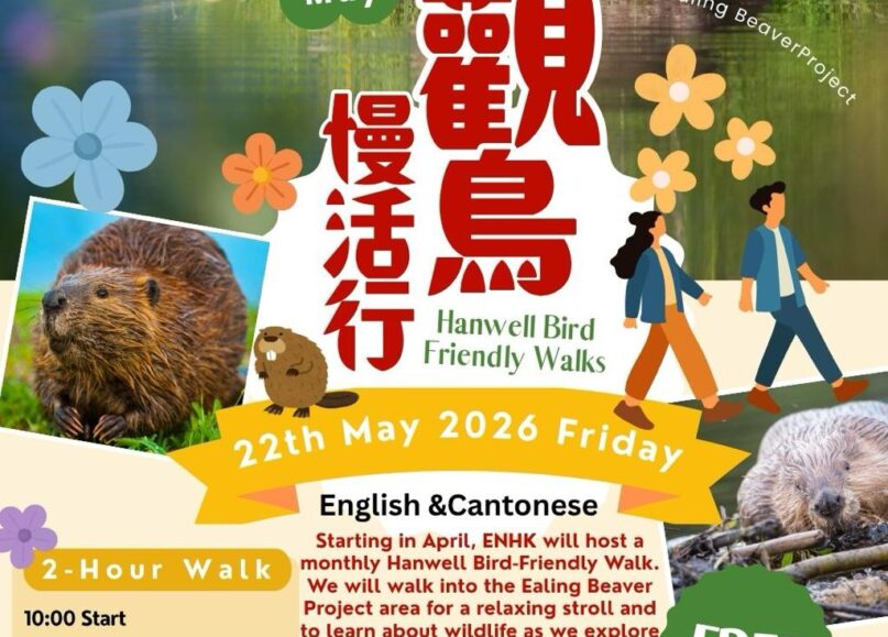 Hanwell bird friendly walks-Your Voice Your Town