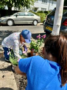 Two woman planting flowers at a tree bed in the Brentham Garden Suburb of Ealing Town