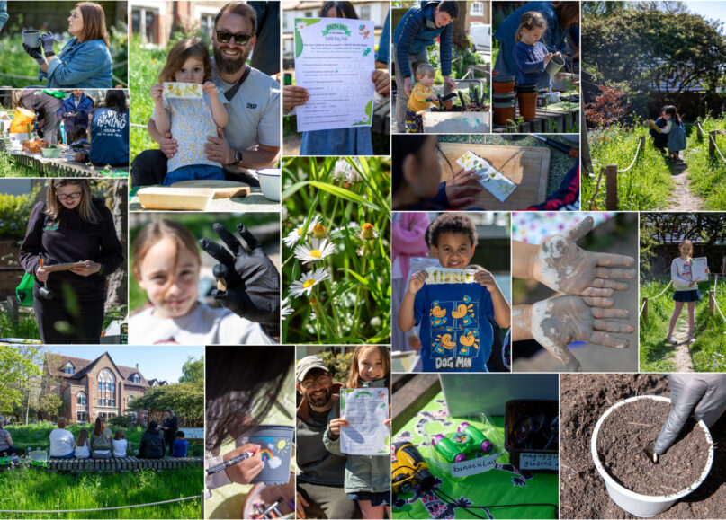 Earth Day to Harvest Day: Growing Together on Katherine Buchan Meadow